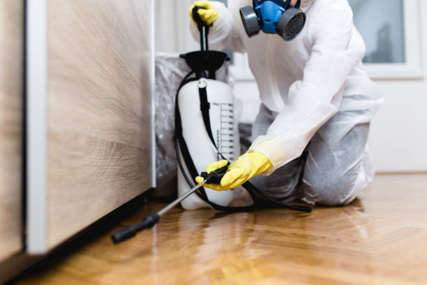 Best Exterminator Services  in Merkel, TX