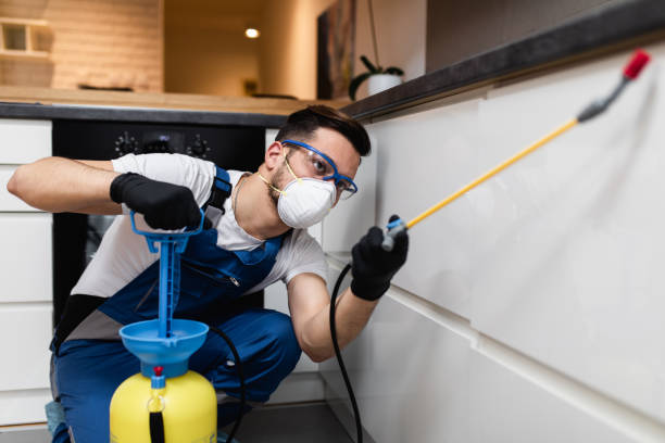 Best Pest Prevention Services  in Merkel, TX