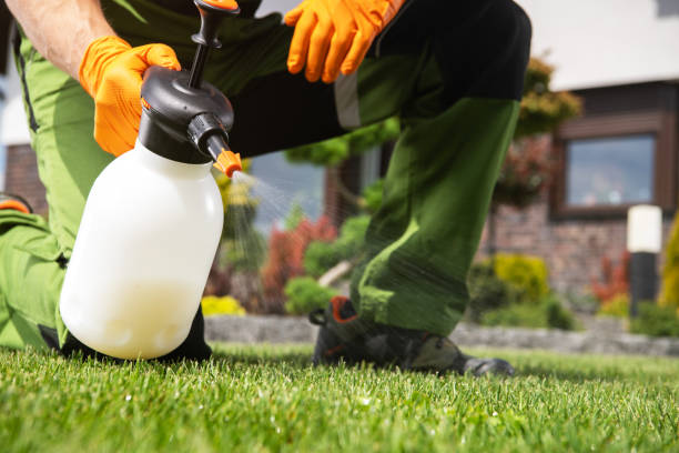 Best Bed Bug Extermination  in Merkel, TX