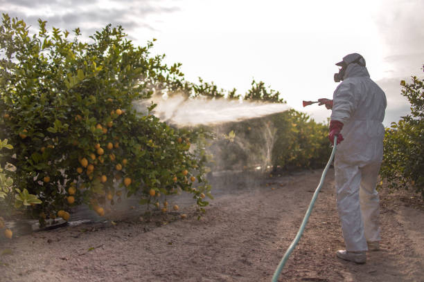 Merkel, TX Pest Control Pros