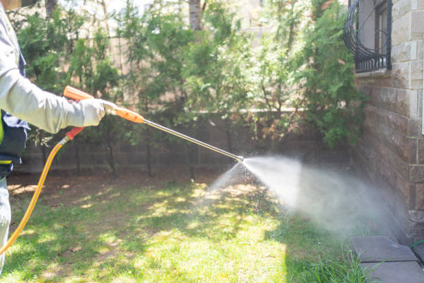 Best Flea Control Services  in Merkel, TX
