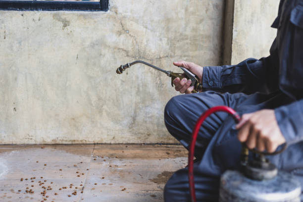 Best Pest Inspection Near Me  in Merkel, TX